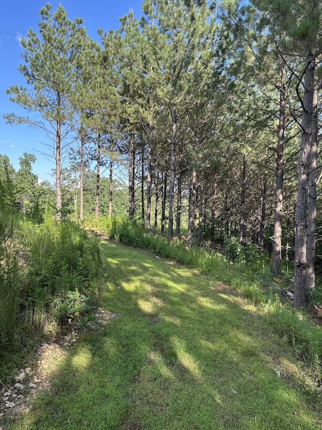 201 Summit Dr, Linden, TN 37096 - view of grassy yard