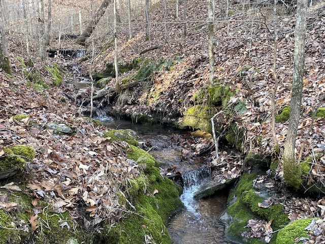 201 Summit Dr, Linden, TN 37096 - view of undeveloped land
