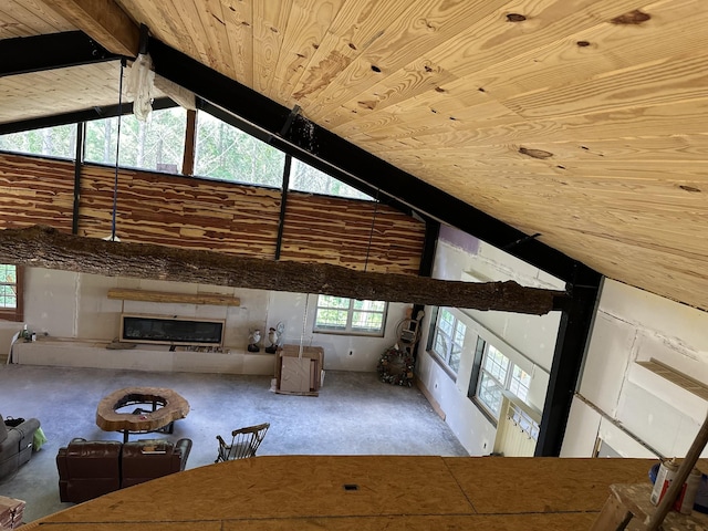 201 Summit Dr, Linden, TN 37096 - living area featuring wood ceiling, lofted ceiling, a glass covered fireplace, and plenty of natural light