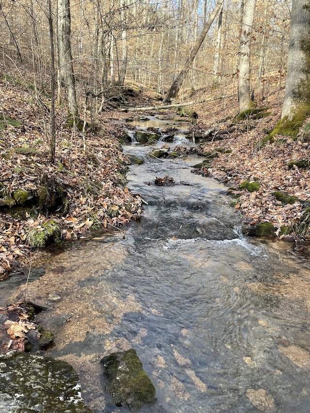 201 Summit Dr, Linden, TN 37096 - view of undeveloped land