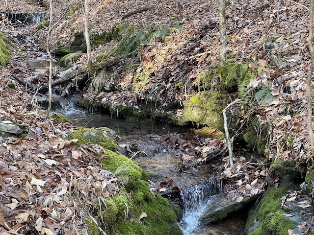 201 Summit Dr, Linden, TN 37096 - view of nature