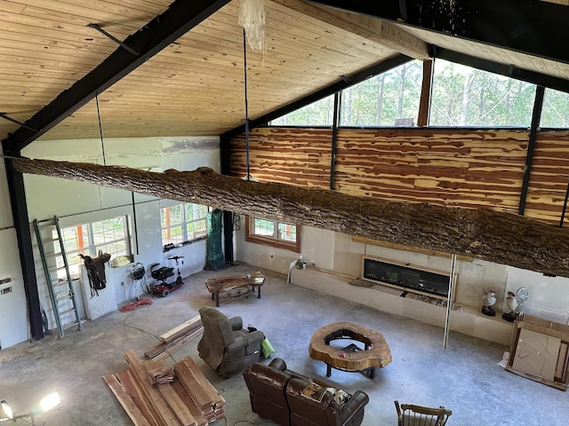 201 Summit Dr, Linden, TN 37096 - living area with wood ceiling and unfinished concrete flooring