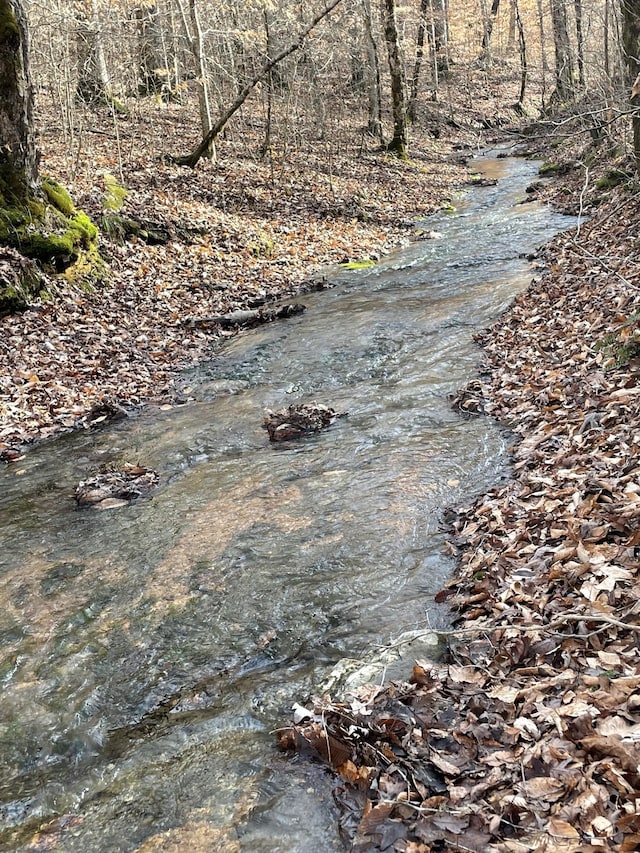 201 Summit Dr, Linden, TN 37096 - water view