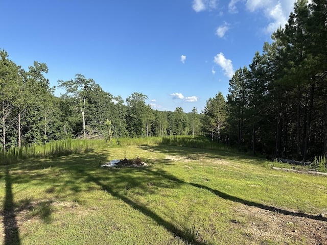 201 Summit Dr, Linden, TN 37096 - view of grassy yard with a forest view