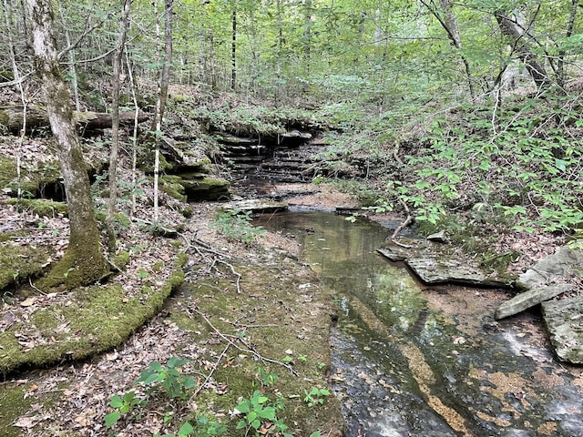 201 Summit Dr, Linden, TN 37096 - view of local wilderness