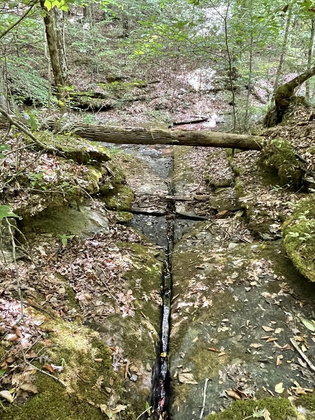 201 Summit Dr, Linden, TN 37096 - view of nature