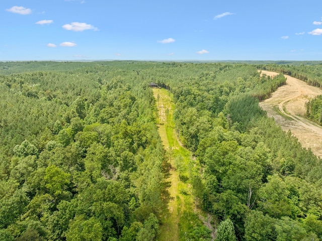 201 Summit Dr, Linden, TN 37096 - photo 38