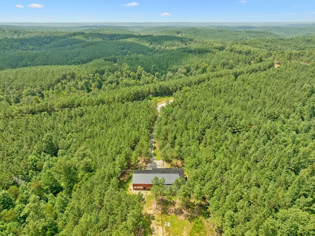 201 Summit Dr, Linden, TN 37096 - photo 52