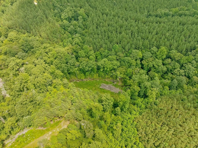 201 Summit Dr, Linden, TN 37096 - photo 68