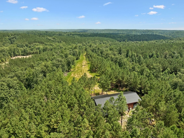 201 Summit Dr, Linden, TN 37096 - photo 86