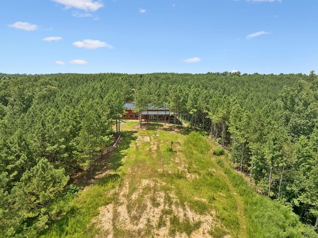 201 Summit Dr, Linden, TN 37096 - photo 74