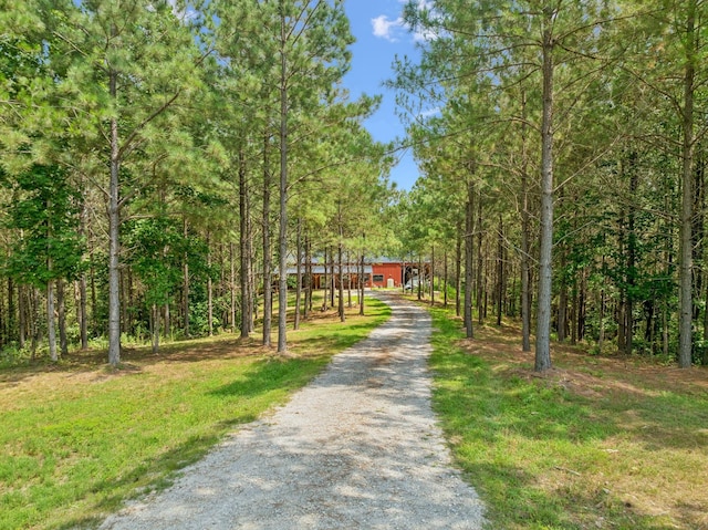 201 Summit Dr, Linden, TN 37096 - photo 90