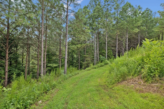 201 Summit Dr, Linden, TN 37096 - photo 27