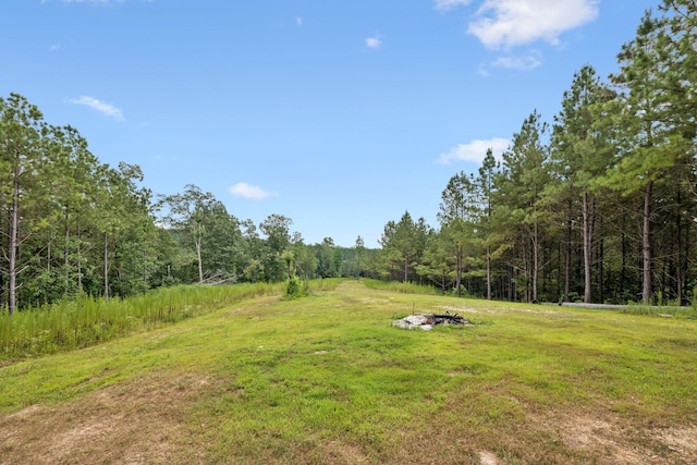 201 Summit Dr, Linden, TN 37096 - photo 24