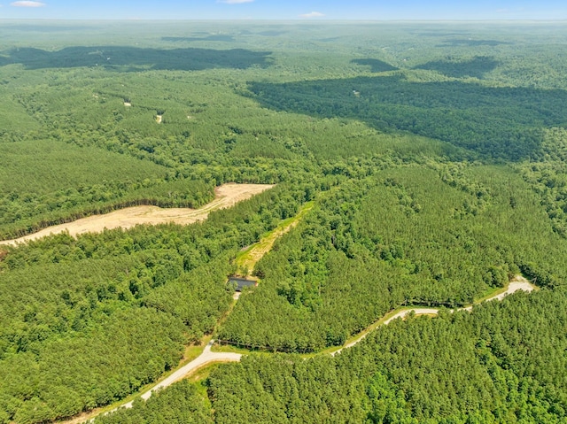 201 Summit Dr, Linden, TN 37096 - photo 43