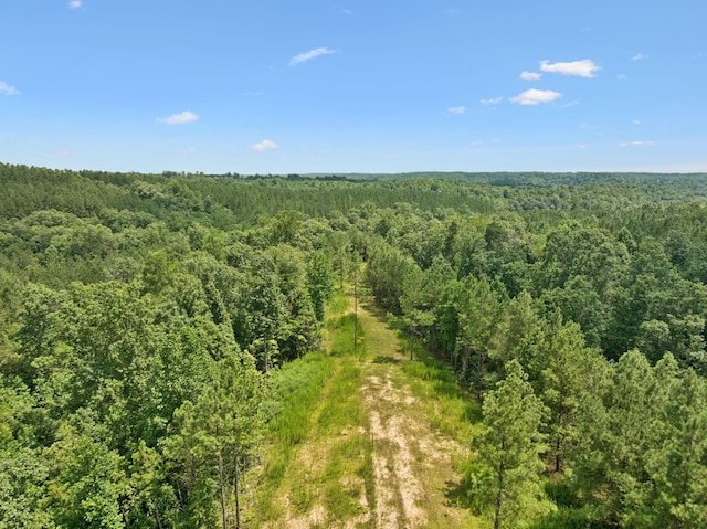 201 Summit Dr, Linden, TN 37096 - photo 88