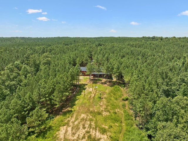 201 Summit Dr, Linden, TN 37096 - photo 60