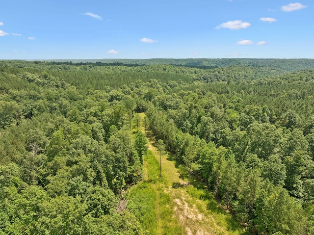 201 Summit Dr, Linden, TN 37096 - photo 47