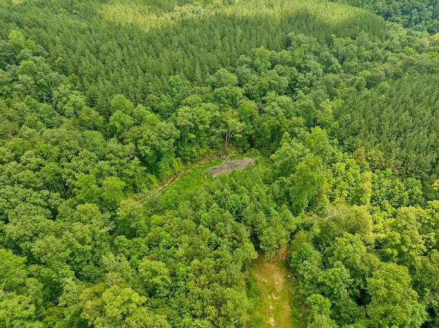 201 Summit Dr, Linden, TN 37096 - photo 83