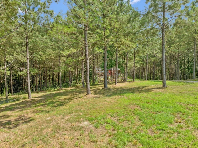 201 Summit Dr, Linden, TN 37096 - photo 77