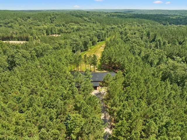 201 Summit Dr, Linden, TN 37096 - photo 71