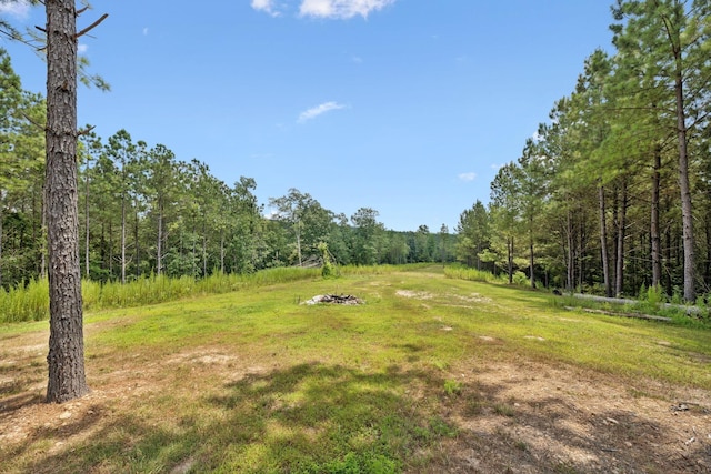 201 Summit Dr, Linden, TN 37096 - photo 65