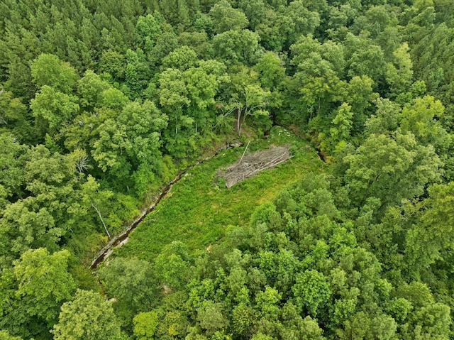 201 Summit Dr, Linden, TN 37096 - photo 33