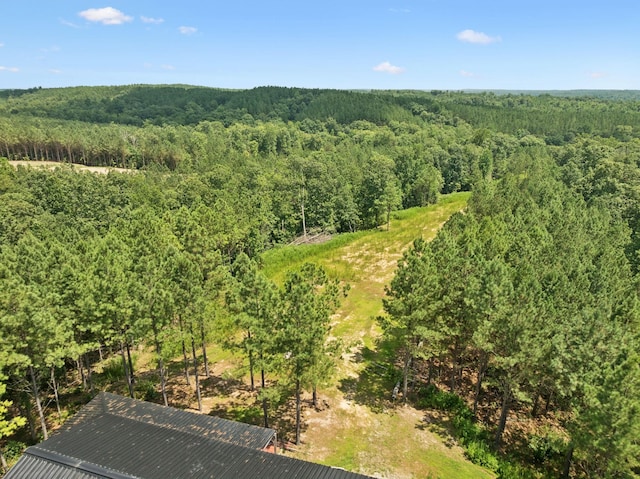 201 Summit Dr, Linden, TN 37096 - photo 19