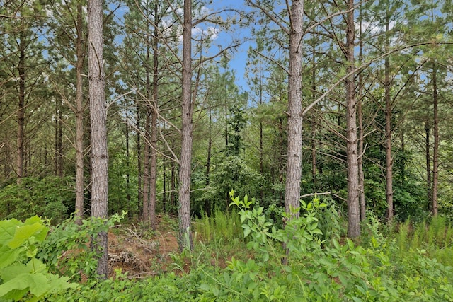 201 Summit Dr, Linden, TN 37096 - photo 18