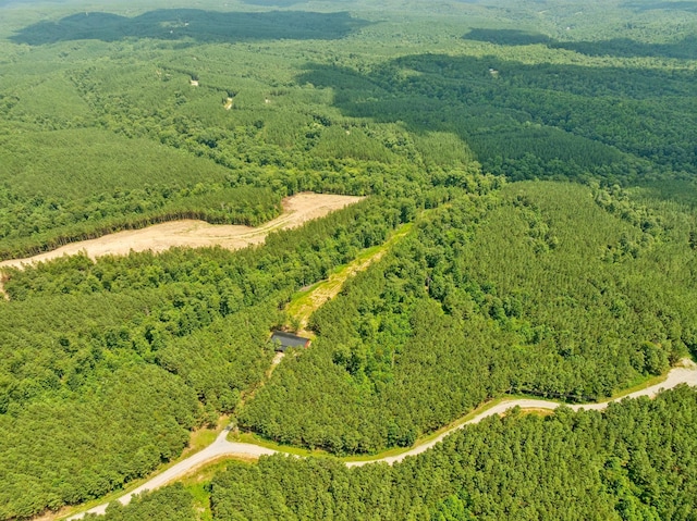 201 Summit Dr, Linden, TN 37096 - photo 13