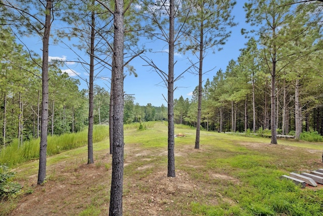 201 Summit Dr, Linden, TN 37096 - photo 7