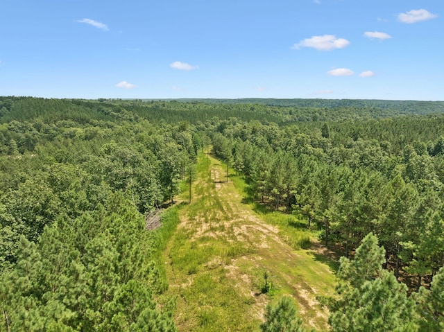 201 Summit Dr, Linden, TN 37096 - photo 5