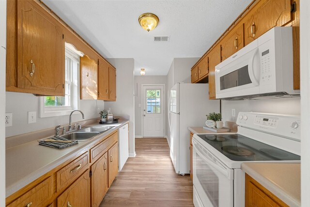 1066 Shadow Ridge Ave, Oak Grove, KY 42262 - kitchen featuring white appliances, light wood-style flooring, light countertops, and brown cabinetry