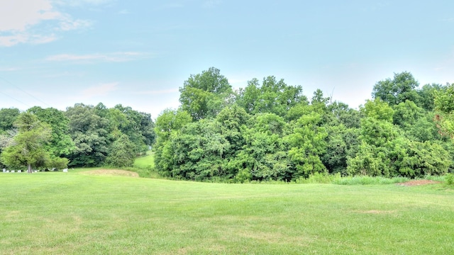 857 Davenport Rd, Cumberland City, TN 37050 - view of green lawn