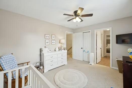 1403 Cree Ct, Murfreesboro, TN 37129 - photo 29