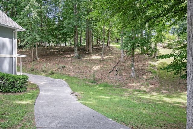 186 Hickory Blvd, Mcminnville, TN 37110 - photo 54
