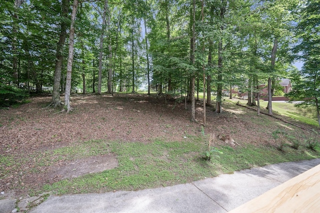 186 Hickory Blvd, Mcminnville, TN 37110 - photo 55