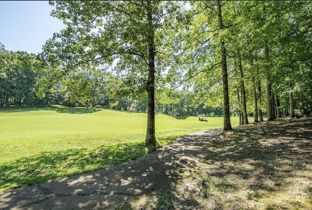 310 Ping Hill Cv, Counce, TN 38326 - photo 30