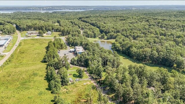 310 Ping Hill Cv, Counce, TN 38326 - photo 32