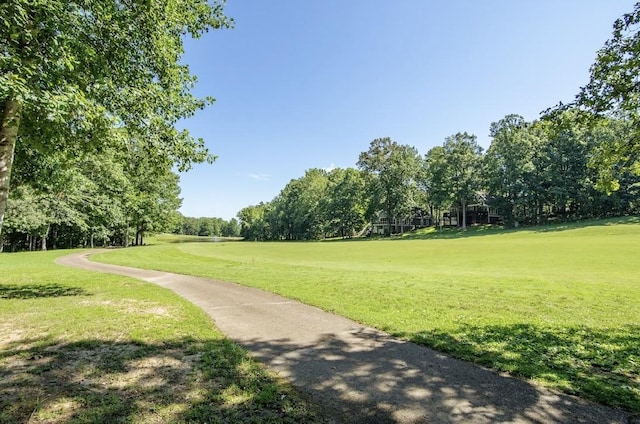 310 Ping Hill Cv, Counce, TN 38326 - photo 29