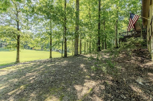 310 Ping Hill Cv, Counce, TN 38326 - photo 31