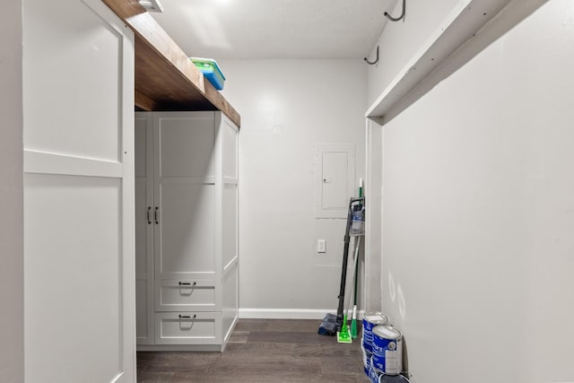 8205 Brownstone Ext, Cross Plains, TN 37049 - spacious closet featuring dark wood-style flooring and electric panel