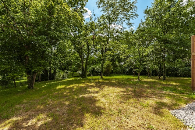 104 Dolphus Dr, Hendersonville, TN 37075 - photo 38
