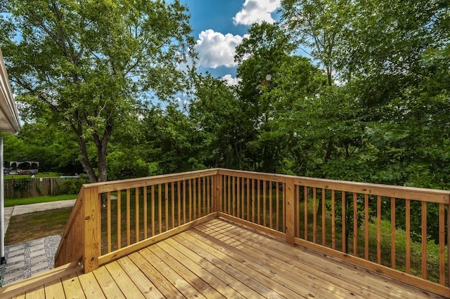 104 Dolphus Dr, Hendersonville, TN 37075 - photo 32