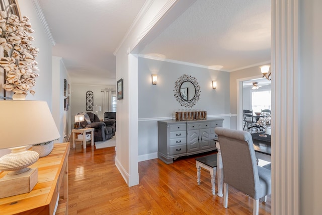 78 Gray Rd, Signal Mountain, TN 37377 - home office with ornamental molding, light wood-style flooring, and ceiling fan