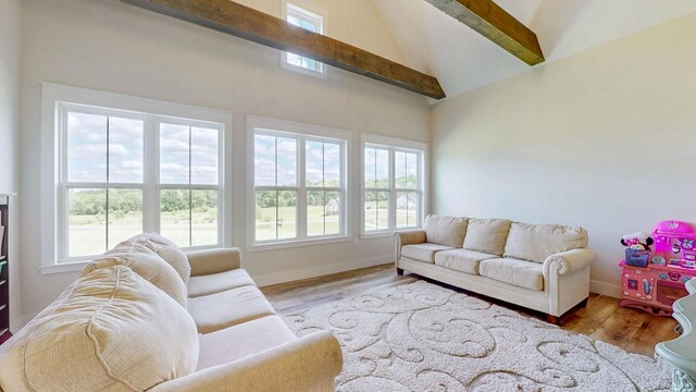 548 Buddy Rd, Burns, TN 37029 - living room featuring wood finished floors and high vaulted ceiling