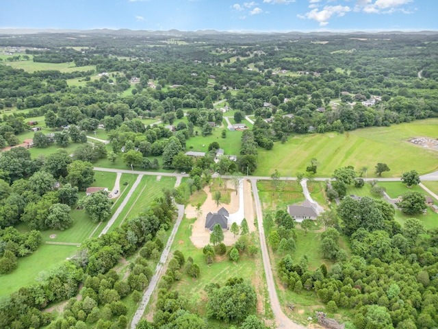408 Harsh Ln, Castalian Springs, TN 37031 - bird's eye view