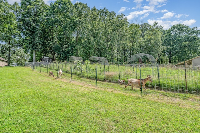 1640 Eno Rd, Dickson, TN 37055 - view of yard featuring a storage unit