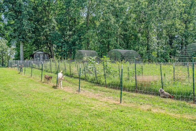 1640 Eno Rd, Dickson, TN 37055 - view of yard