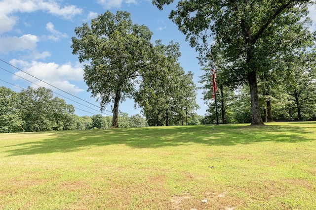 1640 Eno Rd, Dickson, TN 37055 - view of grassy yard featuring view of wooded area